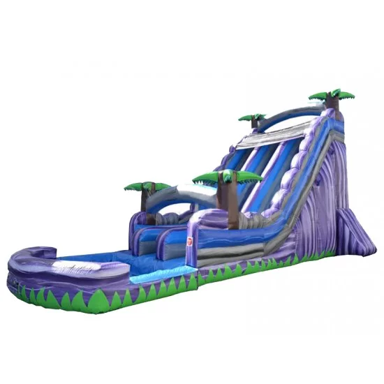 Double Inflatable Water Slide Double Inflatable Water Slide