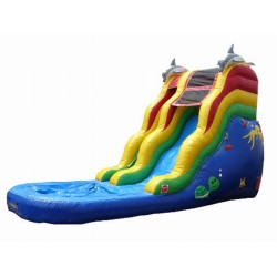 Dolphin Water Slide Dolphin Water Slide