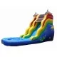 Dolphin Water Slide Dolphin Water Slide