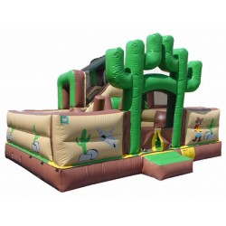 Blow Up Play Equipment