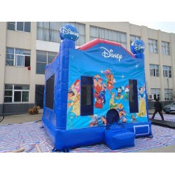 Disney Bouncy Castle