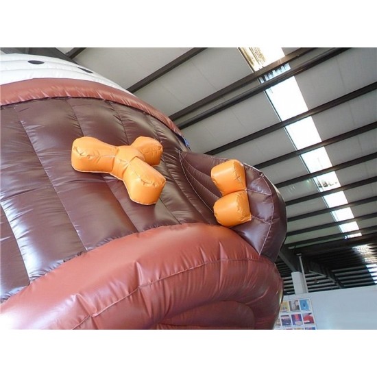 Titanic Inflatable Slide