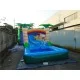 Inflatable Dual Lane Tropical Water Slide Inflatable Dual Lane Tropical Water Slide