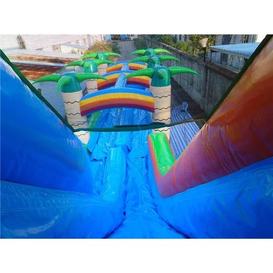 Inflatable Dual Lane Tropical Water Slide Inflatable Dual Lane Tropical Water Slide