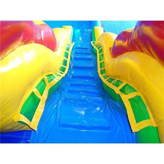 Dolphin Water Slide Dolphin Water Slide