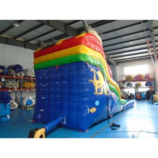 Dolphin Water Slide Dolphin Water Slide