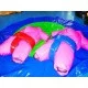 Sumo Wrestling Suits With Mat Sumo Wrestling Suits With Mat